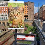 ROMA: comandano i gatti e dove i turisti vengono a vedere